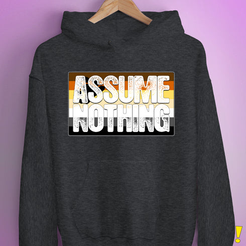 Assume Nothing Bear Pride Flag Hoodie - Dark Grey Heather